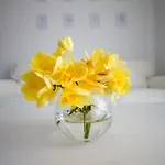 아파트 Terra Petrosa