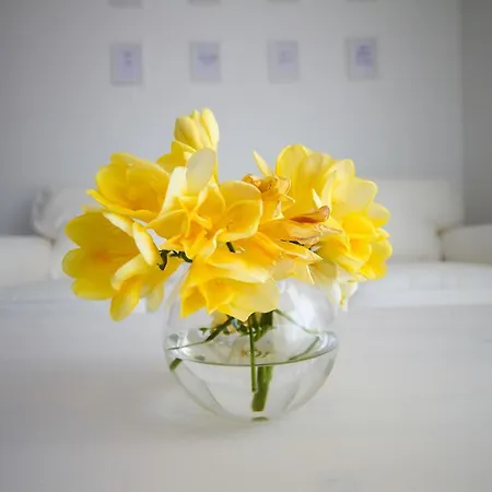 아파트 Terra Petrosa