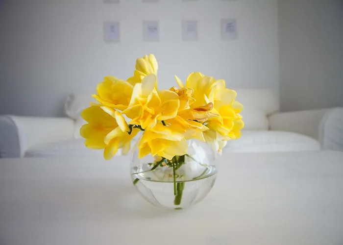 公寓 Terra Petrosa