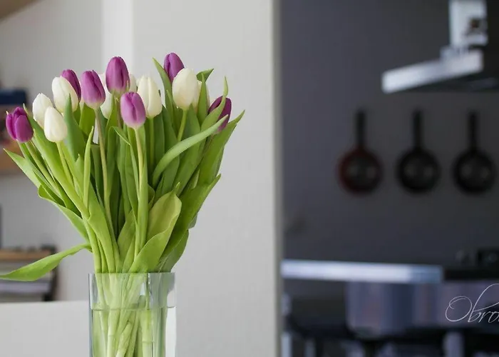 Terra Petrosa 特罗吉尔