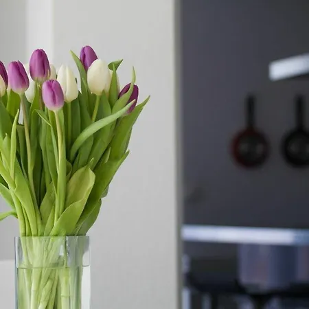 Terra Petrosa Trogir