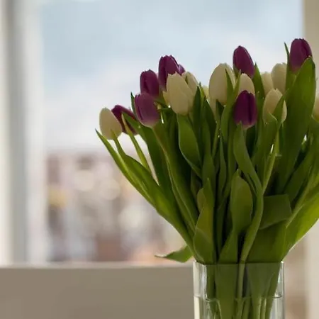 Apartment Terra Petrosa